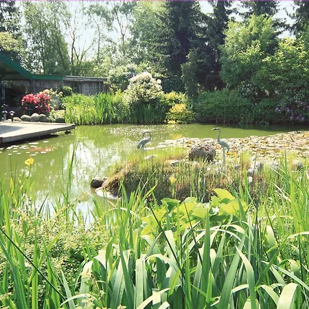 Hotel Hotel-café Kampe